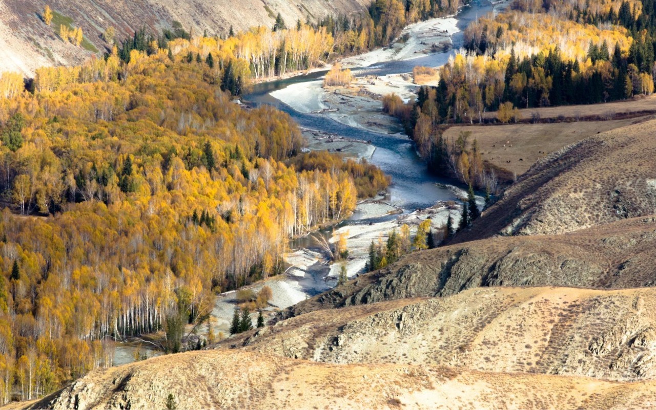 西域新疆之旅，行吟之旅